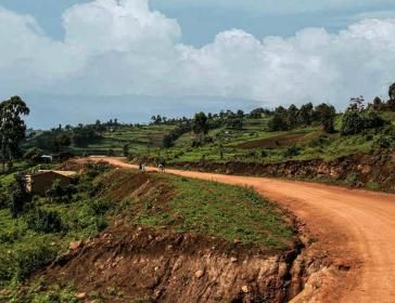 AVC Report 2 2022 Geschichte